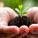 Hands holding a seedling, representing growth and preventive health.